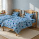 Set lenjerie de pat