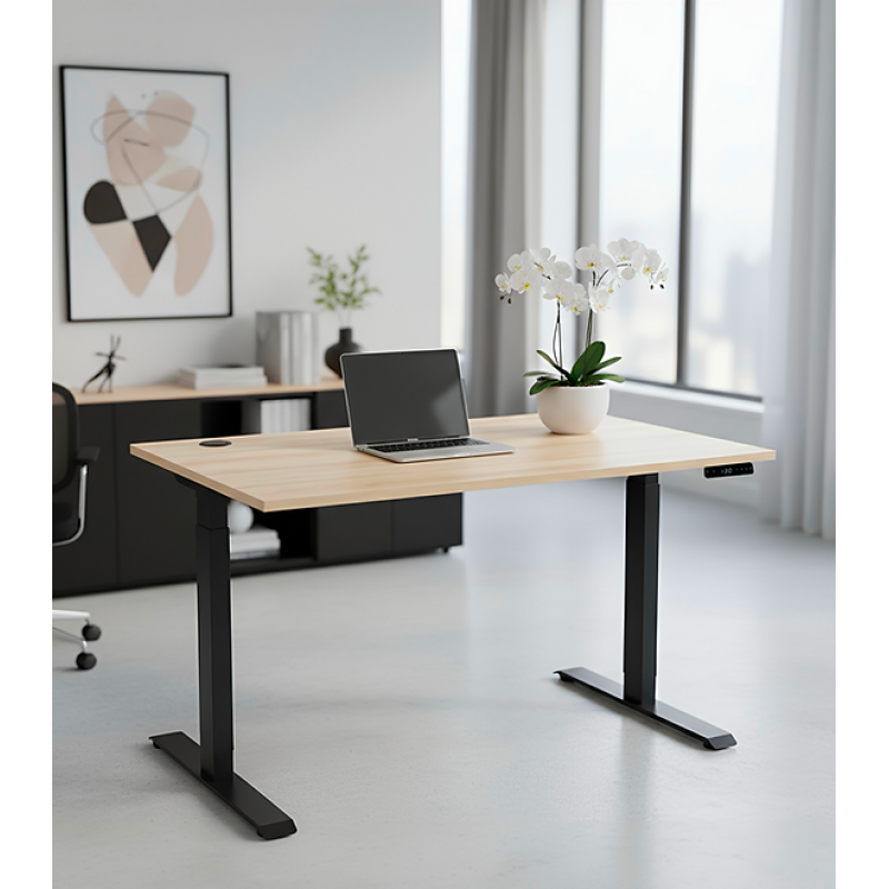 Masa de scris cu reglare electrică, cu două motoare în 3 trepte