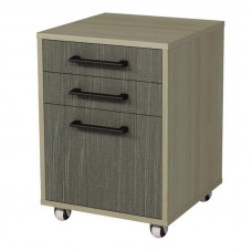 Rollbox cu ușă și 2 sertare